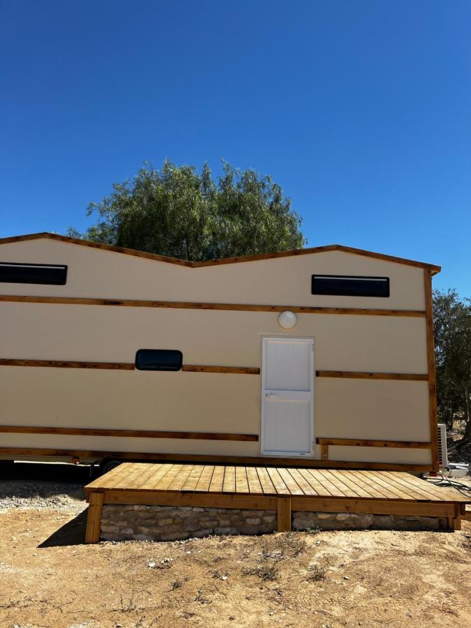 צימראוון בחוות זית המדבר سديه بوكر المظهر الخارجي الصورة