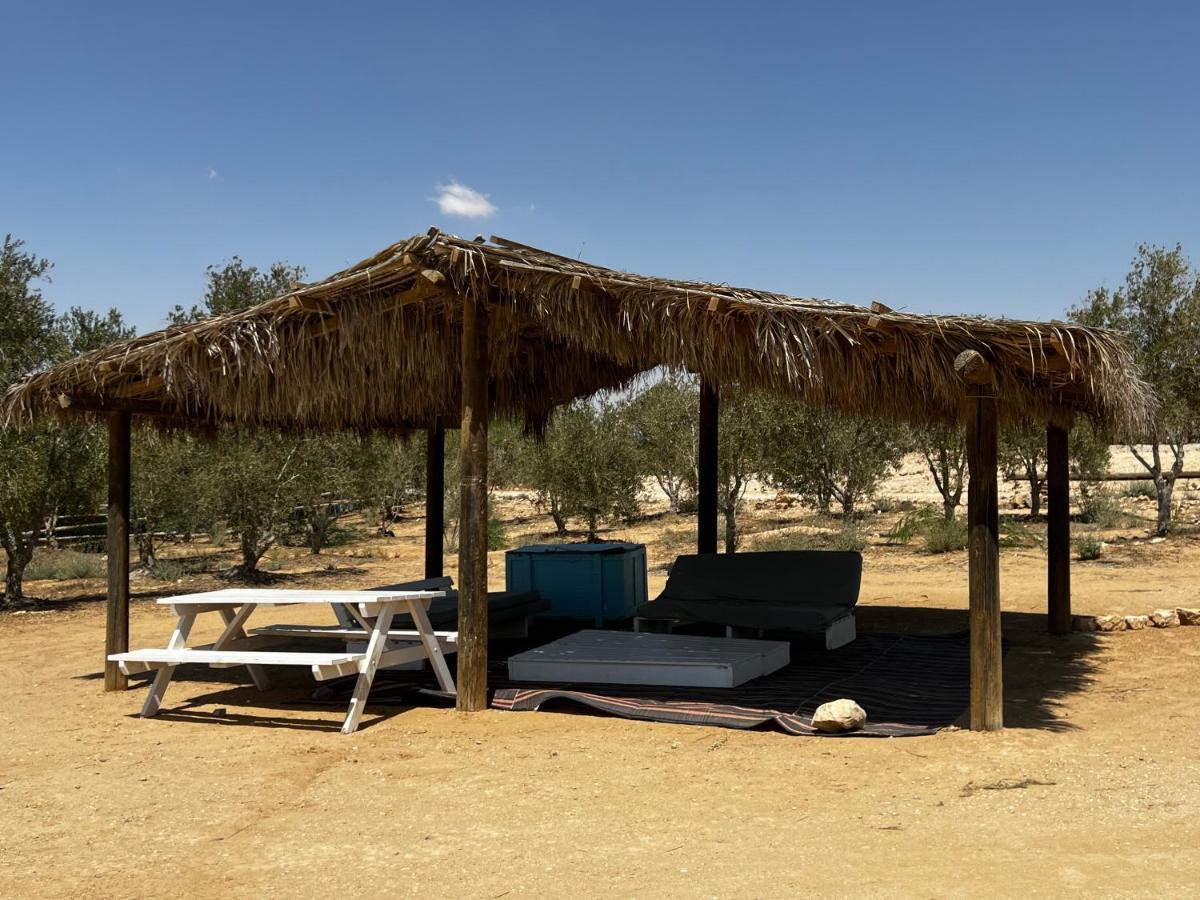 צימראוון בחוות זית המדבר سديه بوكر المظهر الخارجي الصورة